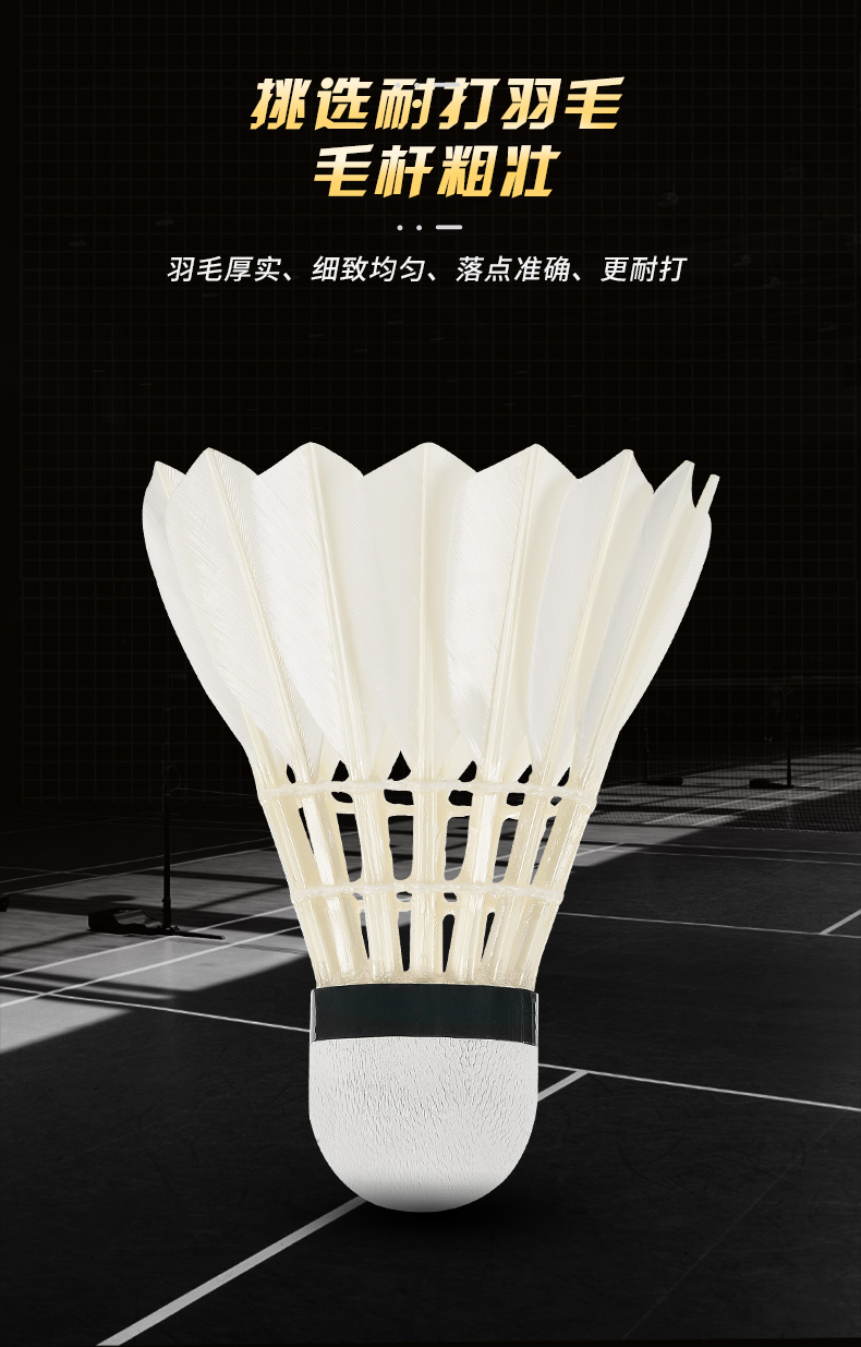 Nieuwe 12 Stuks Professionele  - Badminton Victor recensie en prijs