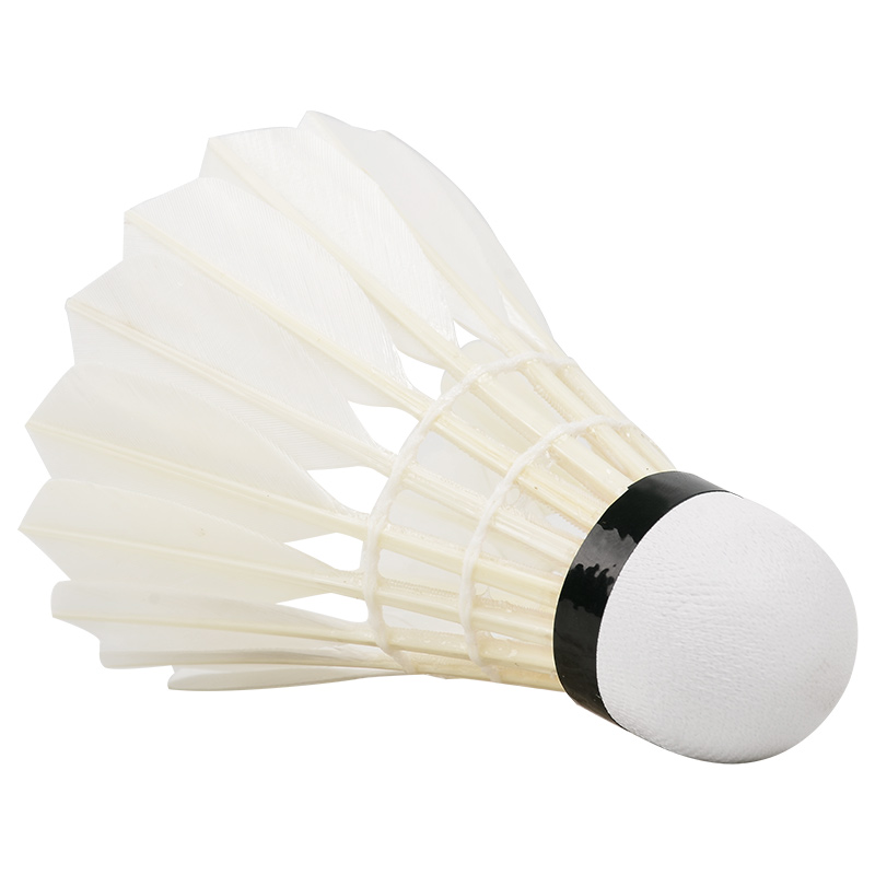 Nieuwe 12 Stuks Professionele  - Badminton Victor recensie en prijs